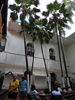 Filename=DSCN0247.JPG
Filesize=6537KiB
Dimensions=3456x4608
Date added=Jan 10, 2023 DSCN0247.JPG