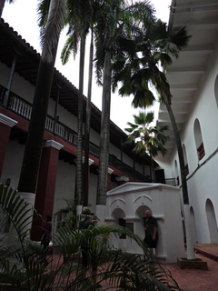 Filename=DSCN0260.JPG
Filesize=6946KiB
Dimensions=3456x4608
Date added=Jan 10, 2023 DSCN0260.JPG