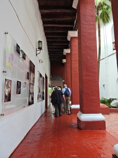 Filename=DSCN0261.JPG
Filesize=5915KiB
Dimensions=3456x4608
Date added=Jan 10, 2023 DSCN0261.JPG