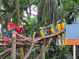 Filename=DSCN0269.JPG
Filesize=6888KiB
Dimensions=4608x3456
Date added=Jan 10, 2023 DSCN0269.JPG