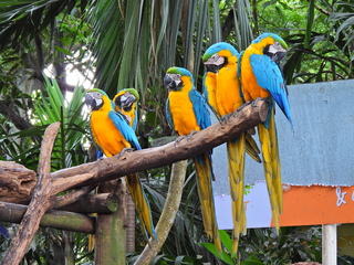 Filename=DSCN0270.JPG
Filesize=6807KiB
Dimensions=4608x3456
Date added=Jan 10, 2023 DSCN0270.JPG