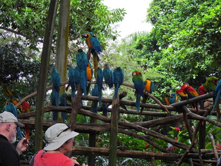 Filename=DSCN0271.JPG
Filesize=7174KiB
Dimensions=4608x3456
Date added=Jan 10, 2023 DSCN0271.JPG