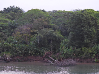 Filename=DSCN0311.JPG
Filesize=6205KiB
Dimensions=4608x3456
Date added=Jan 11, 2023 DSCN0311.JPG