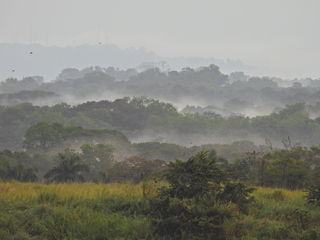 Filename=DSCN0318.JPG
Filesize=6502KiB
Dimensions=4608x3456
Date added=Jan 11, 2023 DSCN0318.JPG