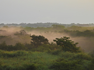 Filename=DSCN0337.JPG
Filesize=6680KiB
Dimensions=4608x3456
Date added=Jan 11, 2023 DSCN0337.JPG