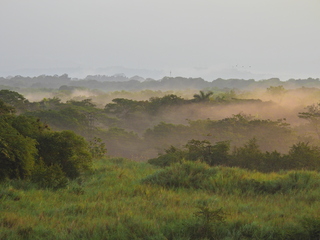 Filename=DSCN0338.JPG
Filesize=6872KiB
Dimensions=4608x3456
Date added=Jan 11, 2023 DSCN0338.JPG