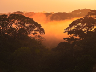 Filename=DSCN0342.JPG
Filesize=6823KiB
Dimensions=4608x3456
Date added=Jan 11, 2023 DSCN0342.JPG