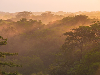 Filename=DSCN0343.JPG
Filesize=6965KiB
Dimensions=4608x3456
Date added=Jan 11, 2023 DSCN0343.JPG