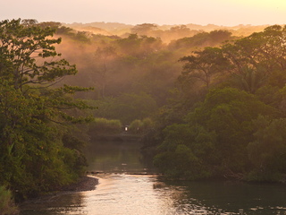 Filename=DSCN0344.JPG
Filesize=6427KiB
Dimensions=4608x3456
Date added=Jan 11, 2023 DSCN0344.JPG