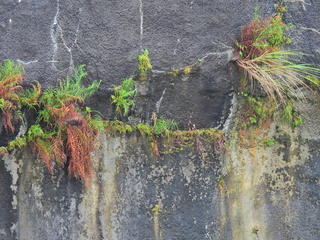 Filename=DSCN0376.JPG
Filesize=7457KiB
Dimensions=4608x3456
Date added=Jan 11, 2023 DSCN0376.JPG