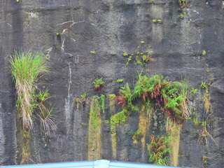 Filename=DSCN0377.JPG
Filesize=7078KiB
Dimensions=4608x3456
Date added=Jan 11, 2023 DSCN0377.JPG