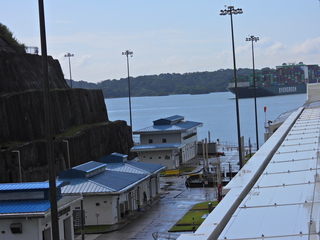 Filename=DSCN0403.JPG
Filesize=6907KiB
Dimensions=4608x3456
Date added=Jan 11, 2023 DSCN0403.JPG