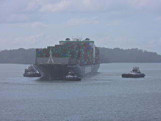 Filename=DSCN0406.JPG
Filesize=5889KiB
Dimensions=4608x3456
Date added=Jan 11, 2023 DSCN0406.JPG