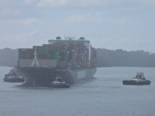 Filename=DSCN0407.JPG
Filesize=7507KiB
Dimensions=4608x3456
Date added=Jan 11, 2023 DSCN0407.JPG