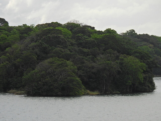 Filename=DSCN0412.JPG
Filesize=7232KiB
Dimensions=4608x3456
Date added=Jan 11, 2023 DSCN0412.JPG