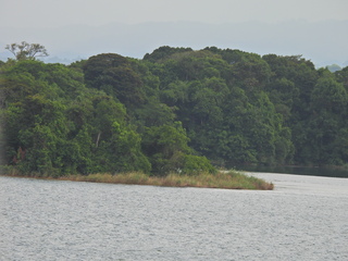 Filename=DSCN0414.JPG
Filesize=6468KiB
Dimensions=4608x3456
Date added=Jan 11, 2023 DSCN0414.JPG