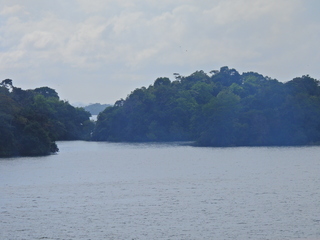 Filename=DSCN0417.JPG
Filesize=6106KiB
Dimensions=4608x3456
Date added=Jan 11, 2023 DSCN0417.JPG