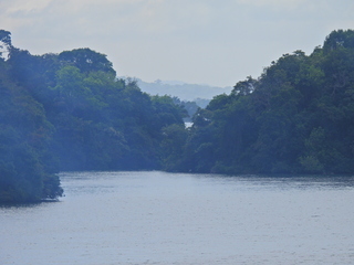 Filename=DSCN0418.JPG
Filesize=6552KiB
Dimensions=4608x3456
Date added=Jan 11, 2023 DSCN0418.JPG