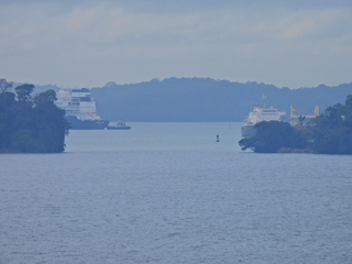 Filename=DSCN0419.JPG
Filesize=5994KiB
Dimensions=4608x3456
Date added=Jan 11, 2023 DSCN0419.JPG