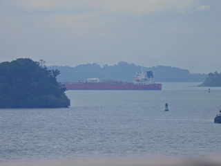 Filename=DSCN0420.JPG
Filesize=5906KiB
Dimensions=4608x3456
Date added=Jan 11, 2023 DSCN0420.JPG