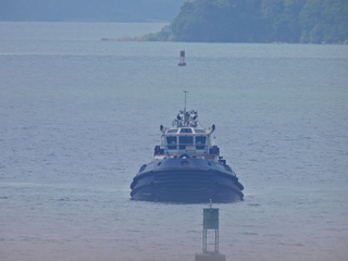 Filename=DSCN0421.JPG
Filesize=5858KiB
Dimensions=4608x3456
Date added=Jan 11, 2023 DSCN0421.JPG