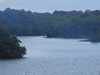 Filename=DSCN0422.JPG
Filesize=7240KiB
Dimensions=4608x3456
Date added=Jan 11, 2023 DSCN0422.JPG