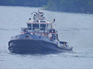 Filename=DSCN0424.JPG
Filesize=7195KiB
Dimensions=4608x3456
Date added=Jan 11, 2023 DSCN0424.JPG