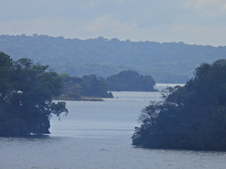 Filename=DSCN0425.JPG
Filesize=6581KiB
Dimensions=4608x3456
Date added=Jan 11, 2023 DSCN0425.JPG