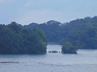 Filename=DSCN0427.JPG
Filesize=6602KiB
Dimensions=4608x3456
Date added=Jan 11, 2023 DSCN0427.JPG