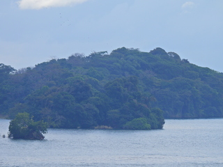 Filename=DSCN0428.JPG
Filesize=6900KiB
Dimensions=4608x3456
Date added=Jan 11, 2023 DSCN0428.JPG