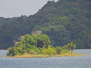 Filename=DSCN0432.JPG
Filesize=7018KiB
Dimensions=4608x3456
Date added=Jan 11, 2023 DSCN0432.JPG