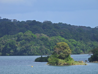 Filename=DSCN0434.JPG
Filesize=6548KiB
Dimensions=4608x3456
Date added=Jan 11, 2023 DSCN0434.JPG