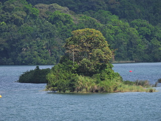 Filename=DSCN0435.JPG
Filesize=7064KiB
Dimensions=4608x3456
Date added=Jan 11, 2023 DSCN0435.JPG