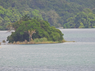 Filename=DSCN0436.JPG
Filesize=7178KiB
Dimensions=4608x3456
Date added=Jan 11, 2023 DSCN0436.JPG