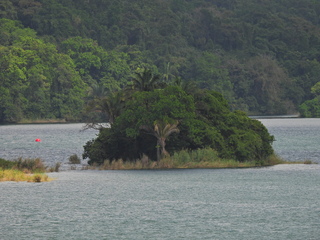 Filename=DSCN0437.JPG
Filesize=7212KiB
Dimensions=4608x3456
Date added=Jan 11, 2023 DSCN0437.JPG