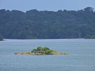 Filename=DSCN0439.JPG
Filesize=6986KiB
Dimensions=4608x3456
Date added=Jan 11, 2023 DSCN0439.JPG