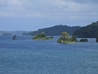 Filename=DSCN0445.JPG
Filesize=6887KiB
Dimensions=4608x3456
Date added=Jan 11, 2023 DSCN0445.JPG