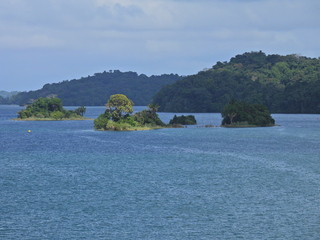 Filename=DSCN0446.JPG
Filesize=7336KiB
Dimensions=4608x3456
Date added=Jan 11, 2023 DSCN0446.JPG