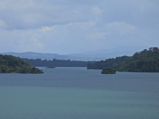 Filename=DSCN0447.JPG
Filesize=5617KiB
Dimensions=4608x3456
Date added=Jan 11, 2023 DSCN0447.JPG