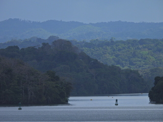 Filename=DSCN0449.JPG
Filesize=6558KiB
Dimensions=4608x3456
Date added=Jan 11, 2023 DSCN0449.JPG