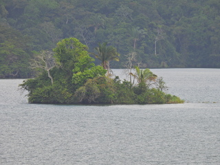 Filename=DSCN0452.JPG
Filesize=7389KiB
Dimensions=4608x3456
Date added=Jan 11, 2023 DSCN0452.JPG