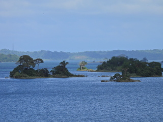 Filename=DSCN0453.JPG
Filesize=6515KiB
Dimensions=4608x3456
Date added=Jan 11, 2023 DSCN0453.JPG