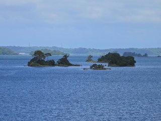 Filename=DSCN0454.JPG
Filesize=6979KiB
Dimensions=4608x3456
Date added=Jan 11, 2023 DSCN0454.JPG