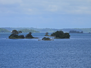 Filename=DSCN0455.JPG
Filesize=6875KiB
Dimensions=4608x3456
Date added=Jan 11, 2023 DSCN0455.JPG