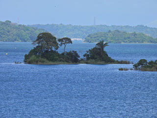 Filename=DSCN0456.JPG
Filesize=7129KiB
Dimensions=4608x3456
Date added=Jan 11, 2023 DSCN0456.JPG