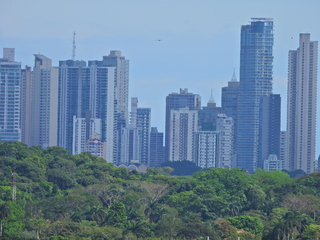 Filename=DSCN0483.JPG
Filesize=7439KiB
Dimensions=4608x3456
Date added=Jan 11, 2023 DSCN0483.JPG