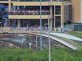 Filename=DSCN0488.JPG
Filesize=6468KiB
Dimensions=4608x3456
Date added=Jan 11, 2023 DSCN0488.JPG