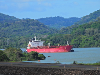 Filename=DSCN0494.JPG
Filesize=7192KiB
Dimensions=4608x3456
Date added=Jan 11, 2023 DSCN0494.JPG