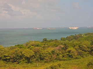 Filename=DSCN0550.JPG
Filesize=6279KiB
Dimensions=4608x3456
Date added=Jan 13, 2023 DSCN0550.JPG