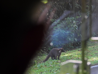 Filename=DSCN0563.JPG
Filesize=6551KiB
Dimensions=4608x3456
Date added=Jan 13, 2023 DSCN0563.JPG